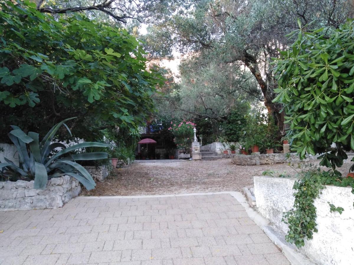 Leo Appartement Makarska Buitenkant foto