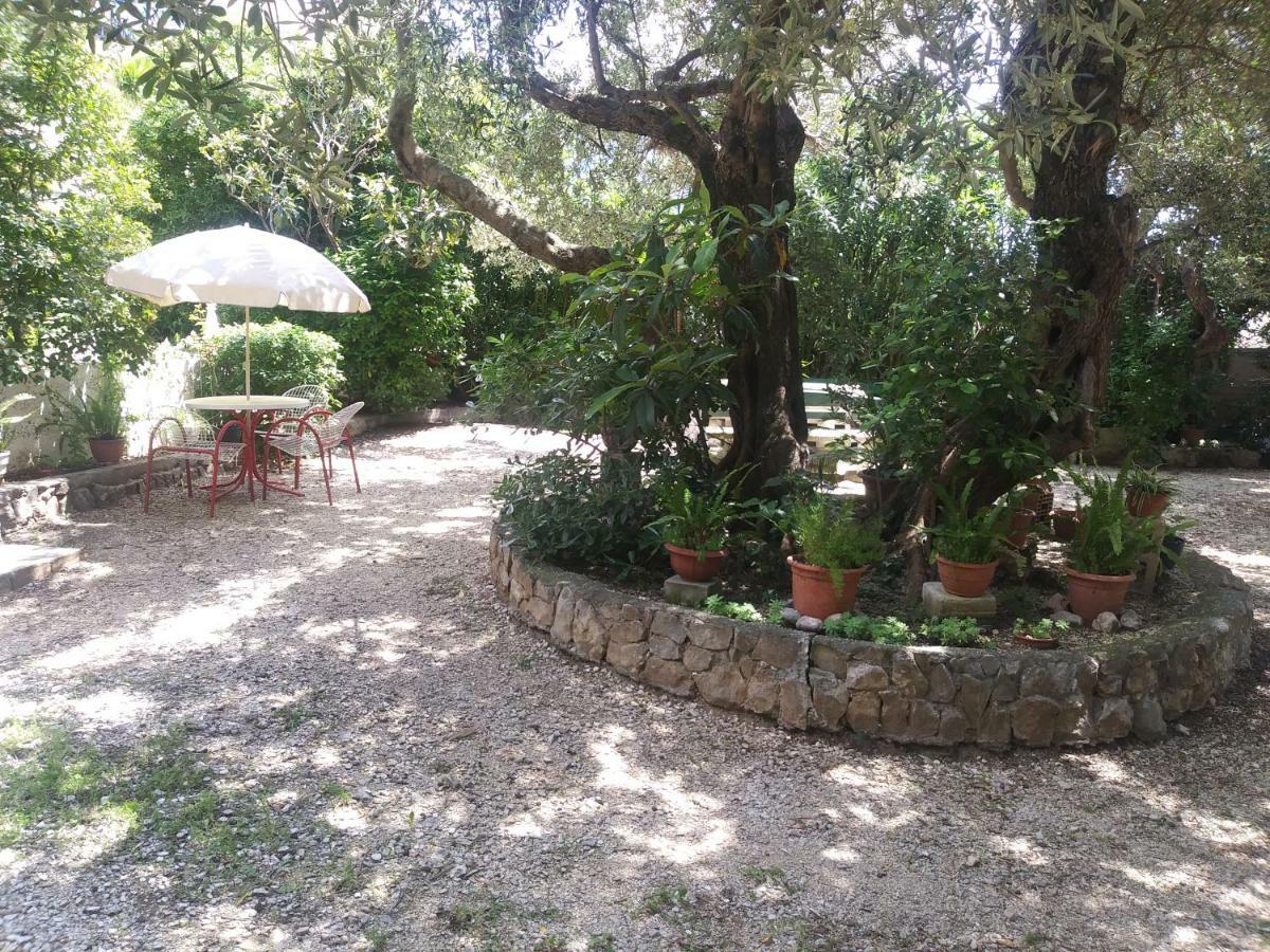 Leo Appartement Makarska Buitenkant foto
